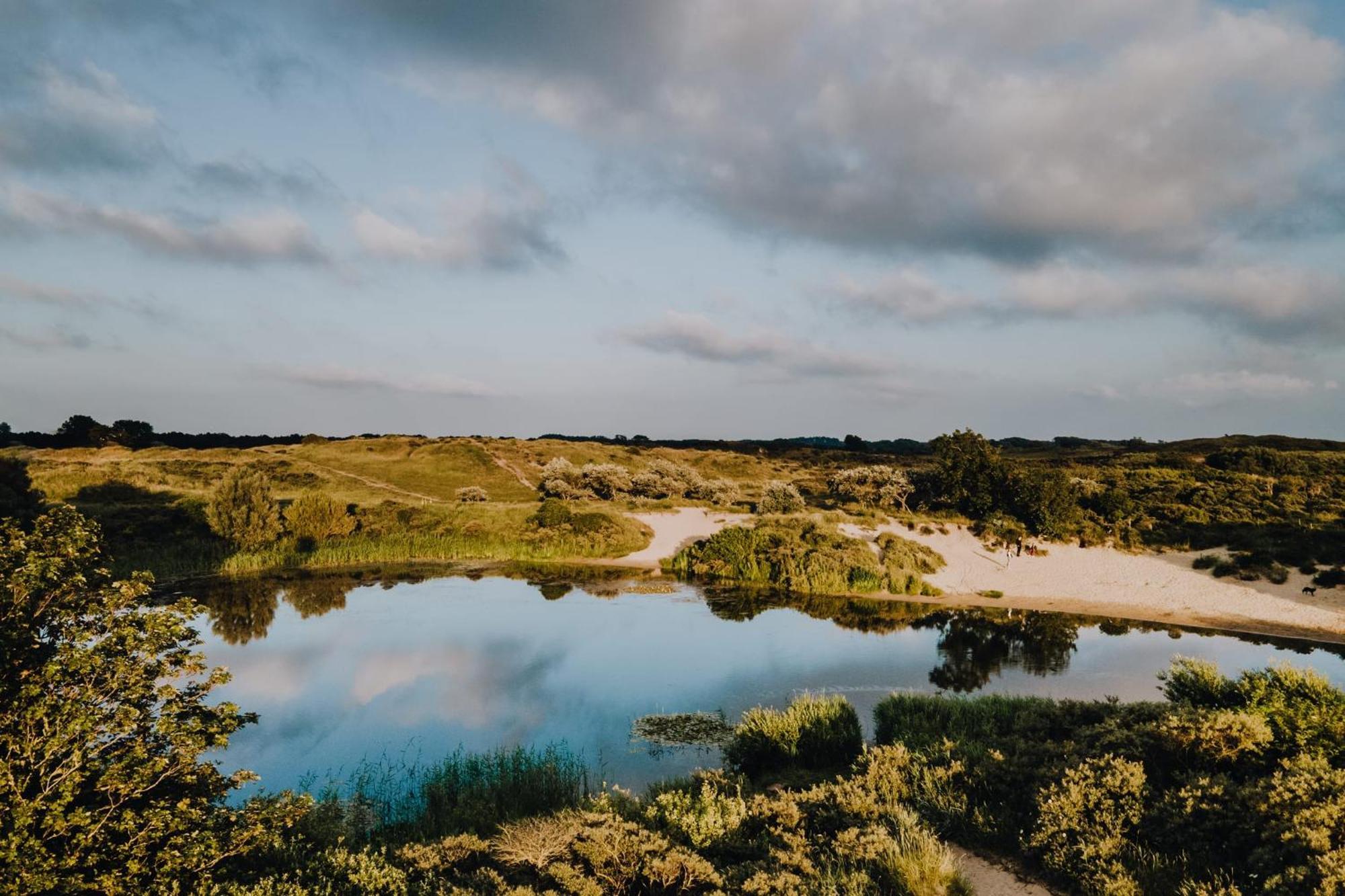 Zandkorrel Zandvoort Kültér fotó