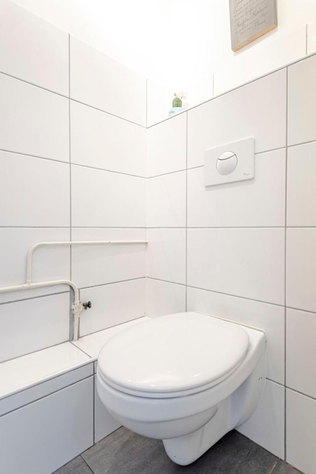 Zandkorrel Zandvoort Kültér fotó